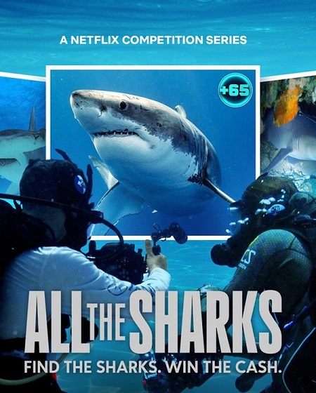 برنامج All the Sharks الموسم الاول الحلقة 6 مترجمة