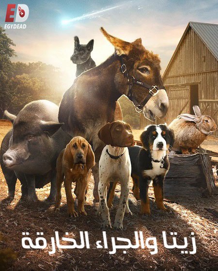 مسلسل زيتا و الجراء الخارقة الجزء الاول الحلقة 1 مدبلجة