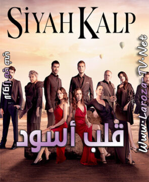 مسلسل Can This Love Be Translated الموسم الأول الحلقة 12